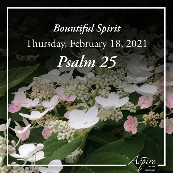 Bountiful Spirit - February 18, 2021