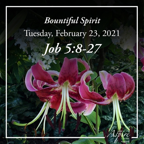 Bountiful Spirit - February 23, 2021