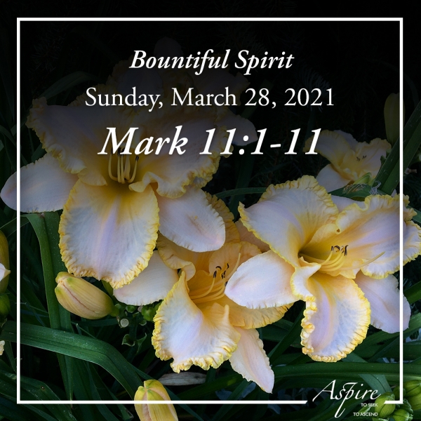 Bountiful Spirit - March 28, 2021