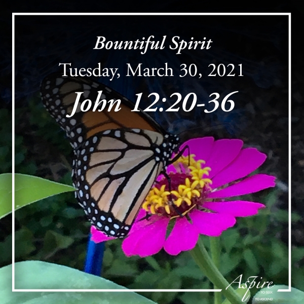 Bountiful Spirit - March 30, 2021